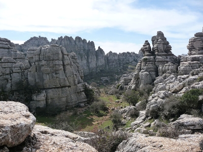 ELTORCAL