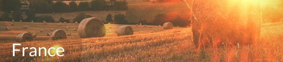 Bike Tours in France