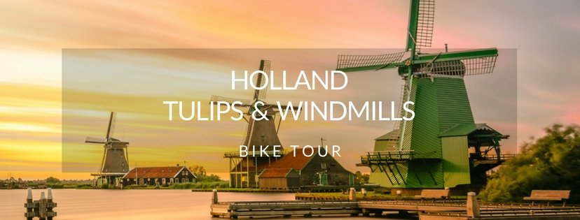 Holland - Tulips and Windmills Bike Tour