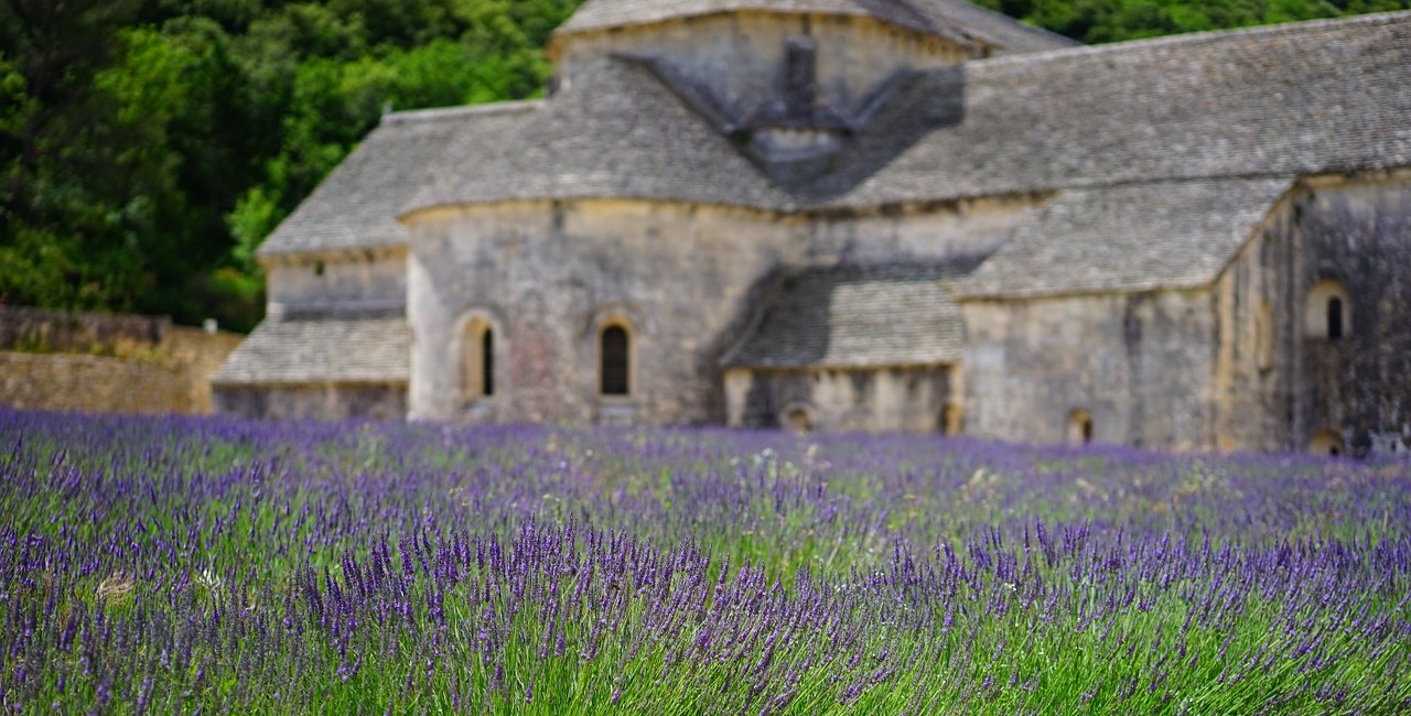 France: Provence Bike Tour