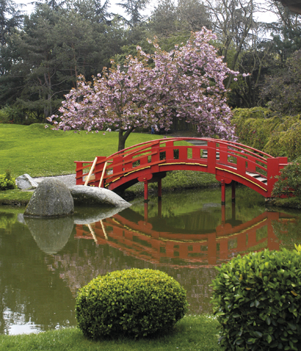 jardin japonais